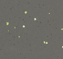 Линолеум Forbo Sphera Energetic 51215 vivid ebony фото 1 | FLOORDEALER